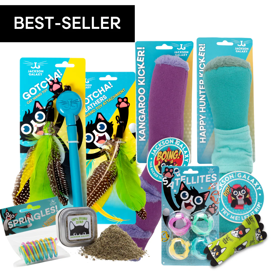 Best Toys for Active Cats!